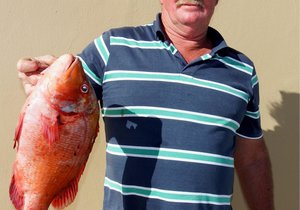 Birkenheaders se Blinklywe